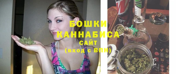 сатива Кулебаки