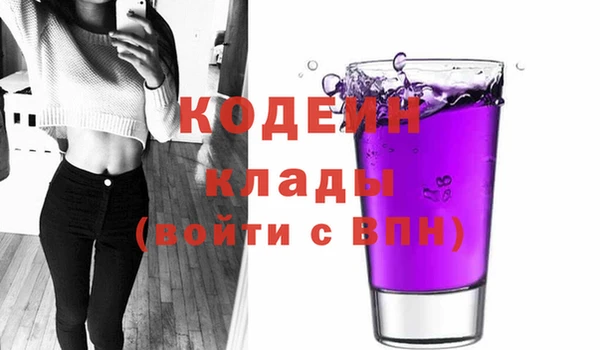 сатива Кулебаки