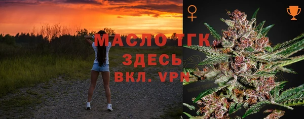сатива Кулебаки
