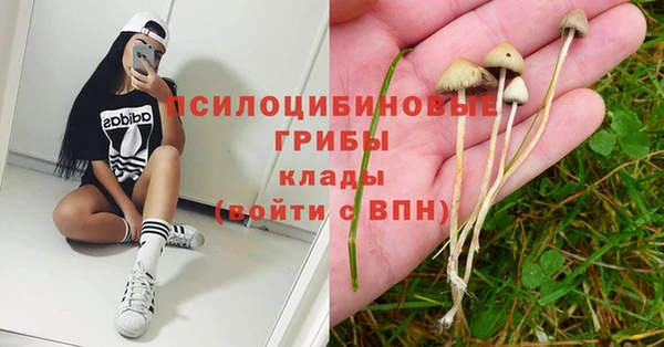 сатива Кулебаки