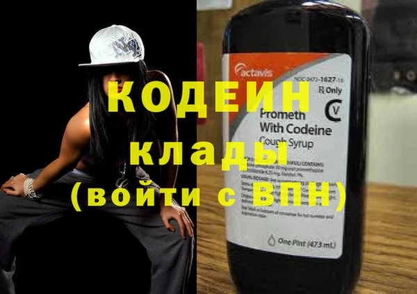 сатива Кулебаки