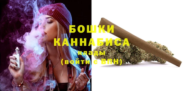 сатива Кулебаки