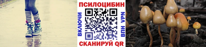 Галлюциногенные грибы мицелий  Тайшет 