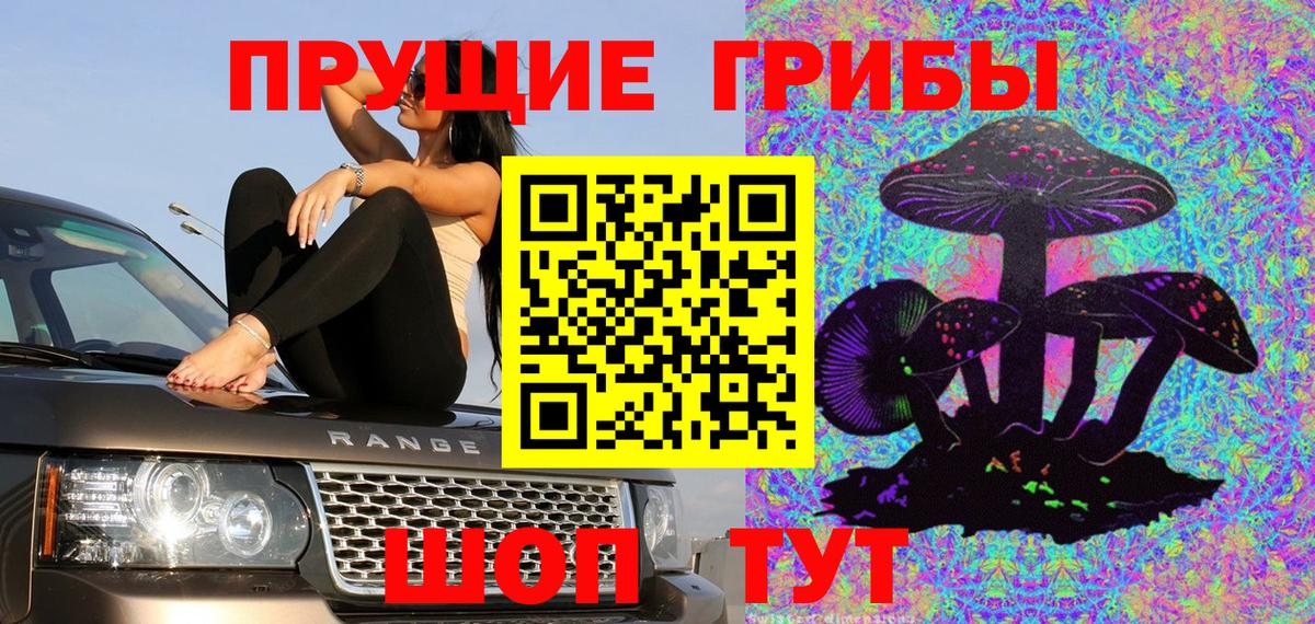 закладка  Вход с VPN  Тайшет  Псилоцибиновые грибы Magic Shrooms  Галлюциногенные грибы Psilocybine cubensis 