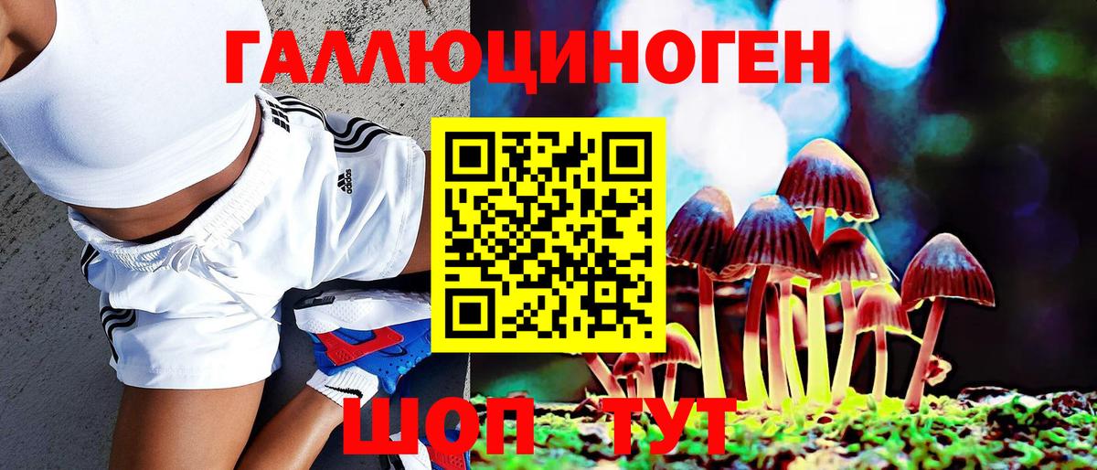 Псилоцибиновые грибы мицелий Тайшет