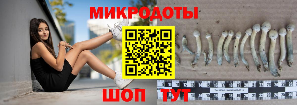 Галлюциногенные грибы Cubensis  цены наркотик  Тайшет  Псилоцибиновые грибы мицелий 